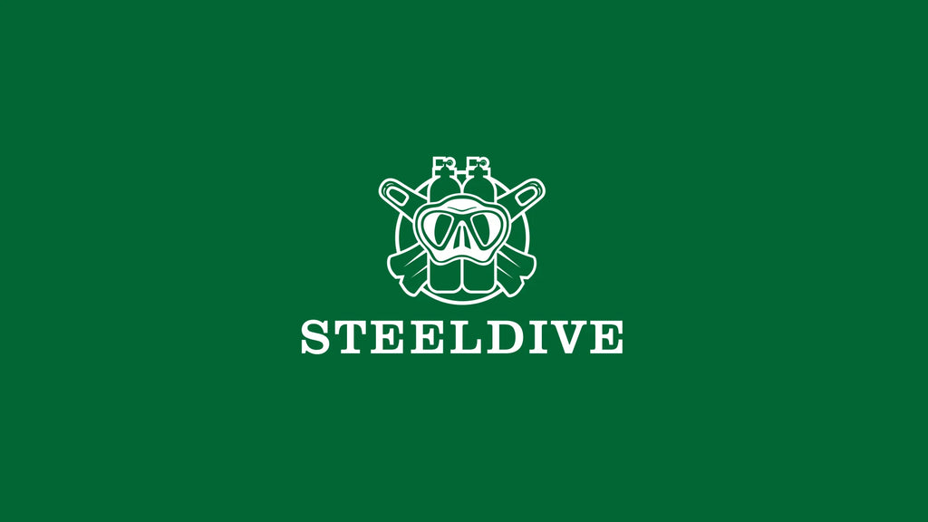 STEELDIVE SD1953 New Arrival Stainless Steel Bi-Color Dial NH35 Automatic Watch 300M Waterproof Sapphire Glass Men Dive Watches